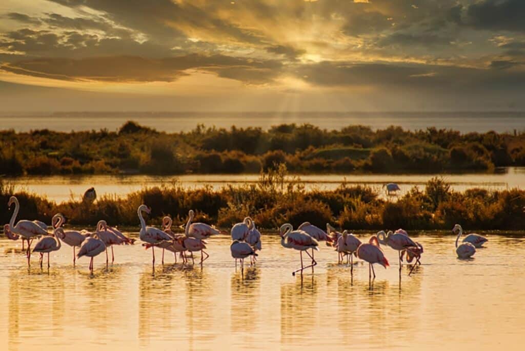 Catalonia Wild Nature